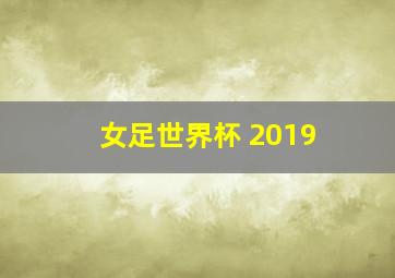 女足世界杯 2019